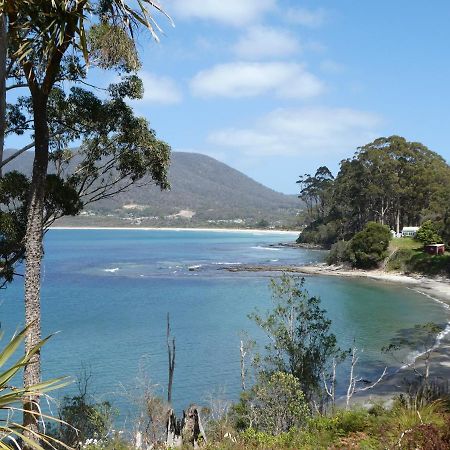 Osprey Lodge&Bungalow Eaglehawk Neck Exterior foto