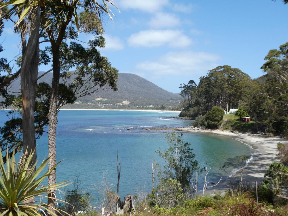 Osprey Lodge&Bungalow Eaglehawk Neck Exterior foto
