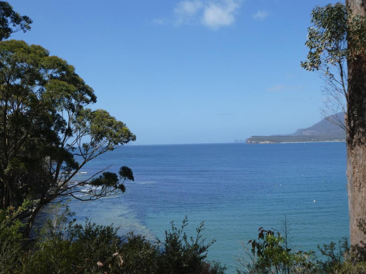 Osprey Lodge&Bungalow Eaglehawk Neck Exterior foto